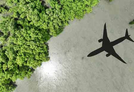 Sustainable Aviation Fuel to Propel Decarbonization in Air Transport